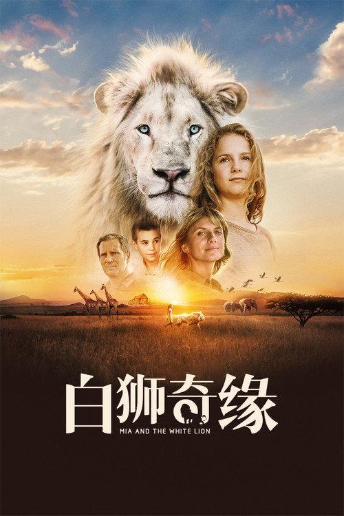 影片海报