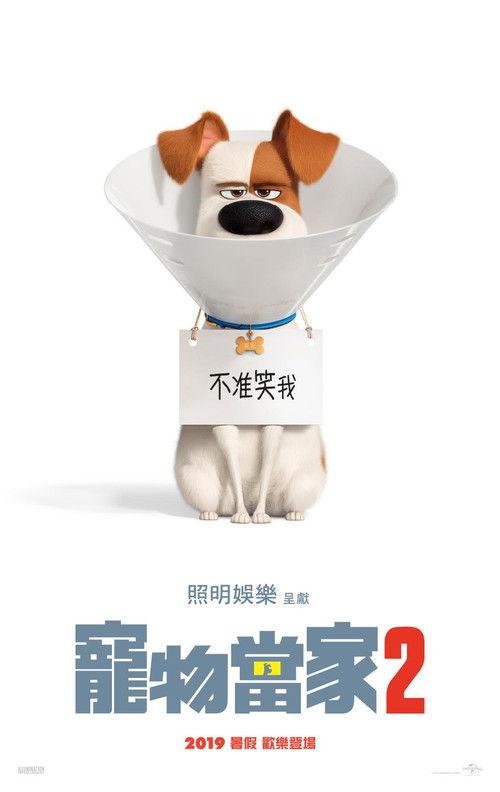 影片海报